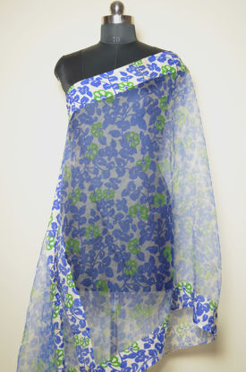 Picture of Blue and Green Floral Organza Dupatta