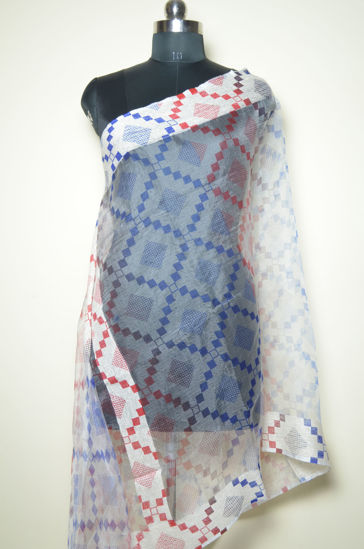 Picture of Blue and Red Organza Dupatta
