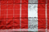 Picture of Brick Red Silver Checks Handloom Silk Cotton Saree