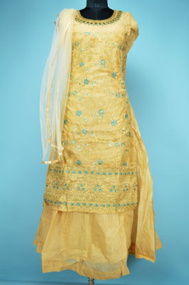Picture of Full Length Nude Chanderi Heavy Embroidery Work Skirt Style Gown Set