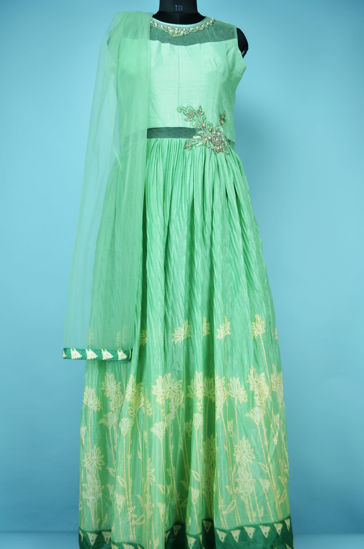 Picture of Full Length Pista Green Printed Crush Silk Gown Set with Neck Embroidery Work 